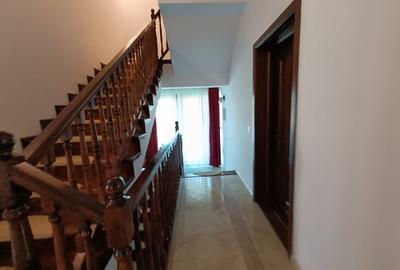 Proprietate Unica de Vanzare in Visani, Iasi – Resedinta si Investitie Turistica - 6