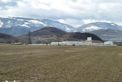 Teren de 2800 mp, în Turnu Roșu - 1