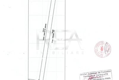 Teren Construcții intravilan de 10000 mp, în Theodor Pallady