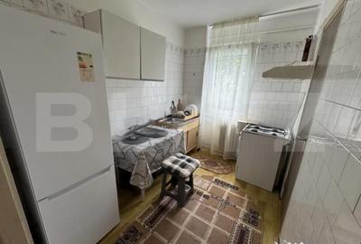 Apartament cu 2 camere semidecomandat, mobilat în Brazda lui Novac