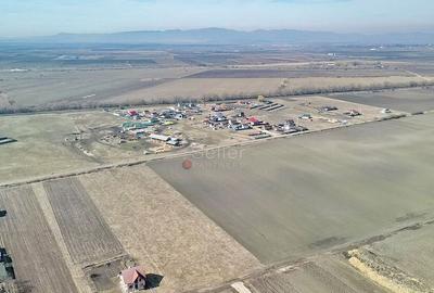 Teren Extravilan, P.U.Z. inceput - 17