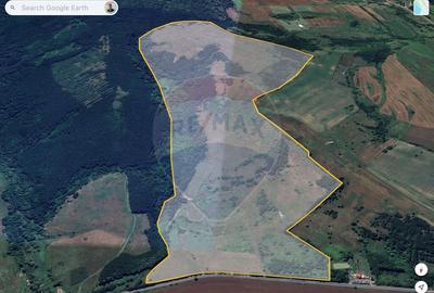 Domeniu - 66 Hectare - Teren deosebit Copsa Mica cu desch... - 8