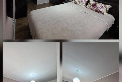Apartament cu 2 camere decomandat, mobilat în Galata - 9