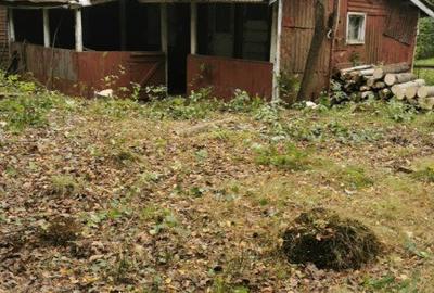 Teren de 450 mp, în Firiza - 3