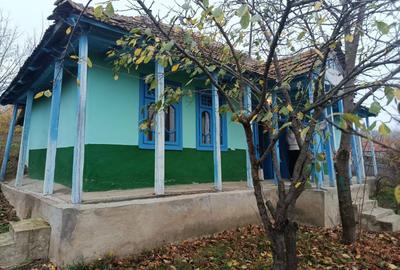 Casă cu 3 camere în Draxeni - 6