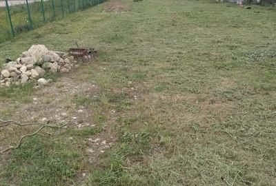 Teren de 6500 mp, în Petrești - 1