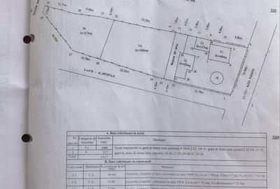 Vand casa + teren Vand casa + teren - 3