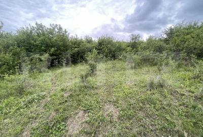 Teren de 5200 mp, în Central - 1