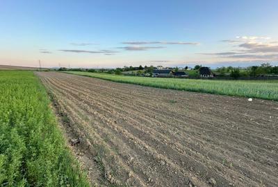 Spațiu comercial, în Dealu - 7