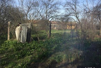 Casă cu 3 camere cu Teren 1200 Mp în Bobu - 2