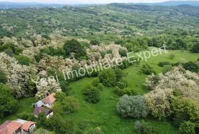 Teren de vanzare, in sat Blaju, comuna Tigveni, Judet Arges. - 4