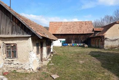 Casă cu 2 camere cu Teren 2200 Mp în Lisnău - 2