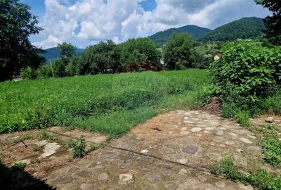 Teren intravilan 1000 mp Vii?oara, utilita?i - 20