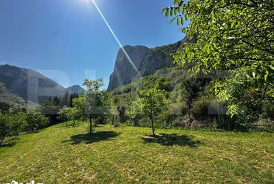 Teren de 1800 mp, în Sălciua - 2