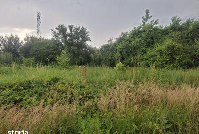 Teren de 854 mp, în Berceni