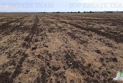 Oferim spre vanzare 6 loturi de teren extravilan (agricol) in Petrachioaia ILFOV - 14