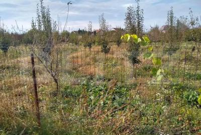 Teren de 4170 mp, în Bercu Roșu - 4