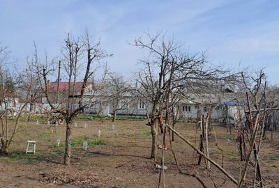 Casă cu 4 camere în Central - 8