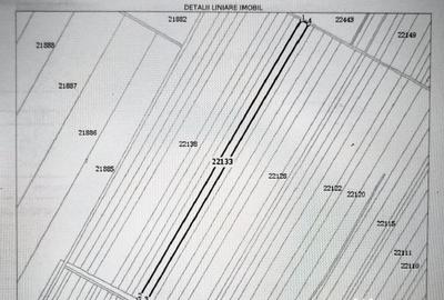 Teren de 10000 mp, în Valea Măcrișului - 2