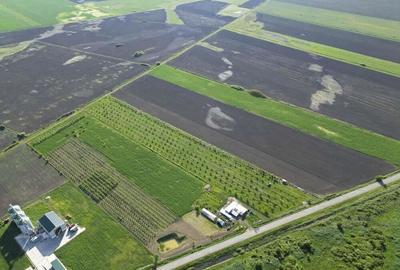 Livada de nuci ?i pruni 2.4ha in Varia?ul Mare - 19