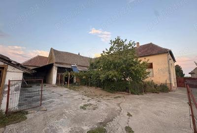 Casă cu 6 camere cu Teren 5000 Mp în Nerău - 3