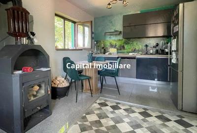 Casa noua pe drumul Lupacului - 2