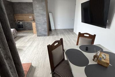 Apartament cu 3 camere decomandat în Palazu Mare - 8