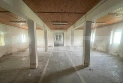 Hale de inchiriat, 676 mp in Dumbravi?a - 4