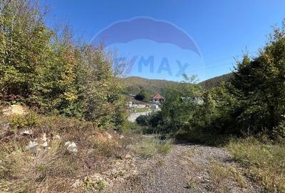 Teren Construcții intravilan de 702 mp, în Buru - 5