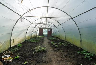 FILM! Casa cu sura, pivnita, balta cu pesti, 2.280 mp teren roditor, Lemnia, Cov - 20