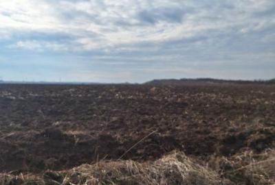 Spațiu comercial, în Bidigești - 3