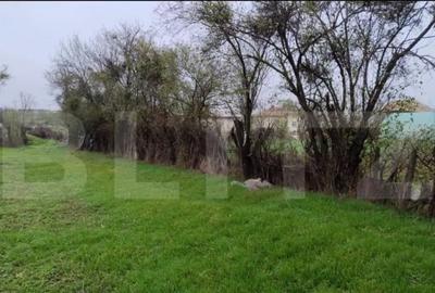 Teren de 3000 mp, în Central - 6