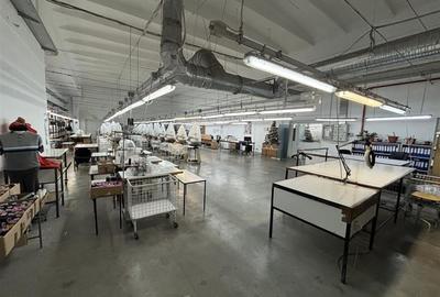 Complex industrial 30130  mp construit - Teren 42558 mp - 5