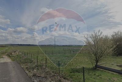 Teren Construcții intravilan de 2900 mp, în Jucu de Sus - 2