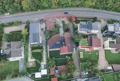 Vila spectaculoasa de vanzare in Faget - 18