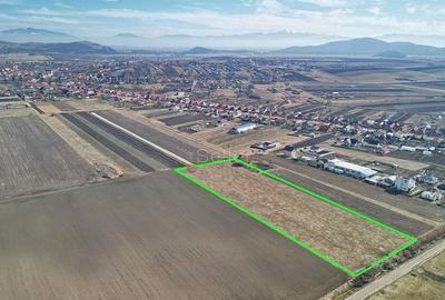 Teren Extravilan, P.U.Z. inceput - 3