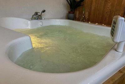 Vila de lux la munte Brasov Zarnesti Plaiul Foii, 2 hectare de teren, jacuzzi, semineu, sauna, Gym Vila de lux la munte Brasov Zarnesti Plaiul Foii, 2 hectare de teren, jacuzzi, semineu, sauna, Gym - 10