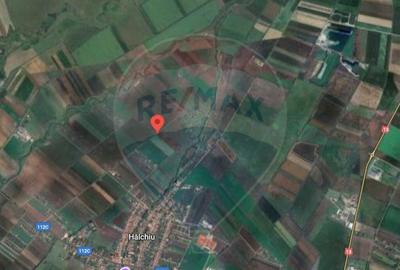 Teren de 30000 mp, în Hălchiu