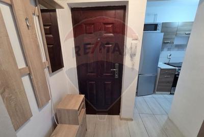 Apartament cu 2 camere semidecomandat, mobilat în Vest - 4