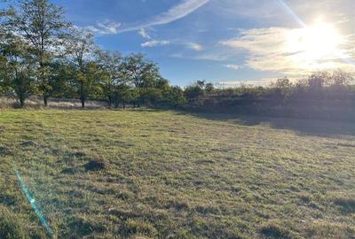 Teren Construcții intravilan de 1000 mp, în Somova - 7