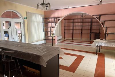 Casă cu Teren 517 Mp în Lucian Blaga - 9