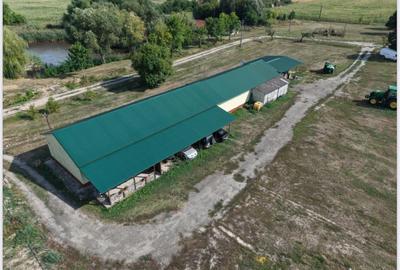 Spațiu industrial, de 1,000 mp, în Periferie - 5