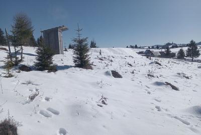 Spațiu comercial, în Piatra - 8