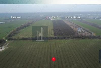 Teren de vanzare 10.000 mp | Caciula?i, Moara Vlasiei | Balotesti - 1