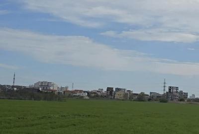 Vanzari terenuri in Agigea zona Golful Pescarului - 9