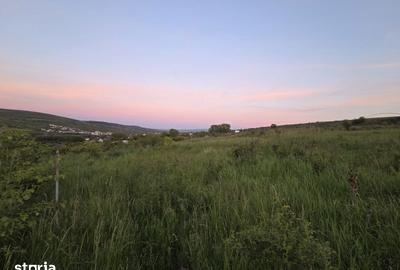 Teren de 500 mp, în Mărăști - 6
