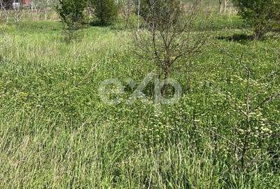 Teren agricol extravilan de 400 mp, în Techirghiol - 1