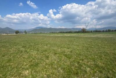 Teren în Central - 1