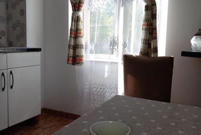 Apartament cu 2 camere decomandat în Diosig - 6