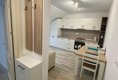 Apartament cu 2 camere în Valea Lupului - 4